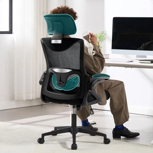 Fizzin Ergonomic Mesh Office Chair High Back Computer Desk Home Office Black GAR - Picture 1 of 6