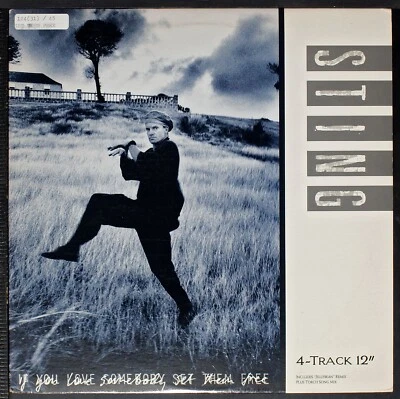 Sting - If You Love Somebody Set Them Free - 12" single [NHD1-083] orig record - Image 1 of 4