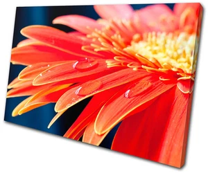 Floral Gerbera Flowers SINGLE CANVAS WALL ART Picture Print VA - Picture 1 of 1