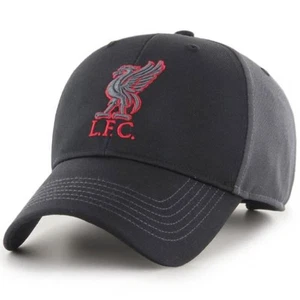 Liverpool FC Charcoal Crest Cap - Picture 1 of 3