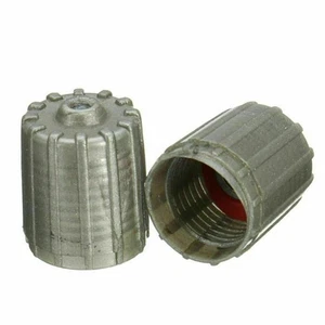 Car Truck Valve Stem Cap TPMS Tire Cover Front Left Rear Gray Kit Parts - Picture 1 of 7