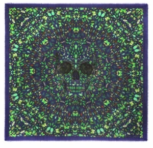 Damien Hirst x Alexander McQueen Skull Scarf Typhon 100% Cashmere LTD ED ⭐️ - Picture 1 of 10