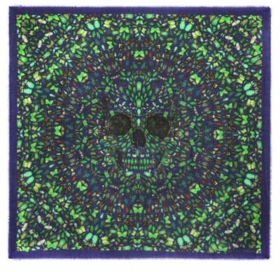 Damien Hirst Alexander McQueen Bufanda Calavera Tifón 100% Cachemira Raro ⭐️ Foto 1 de 4