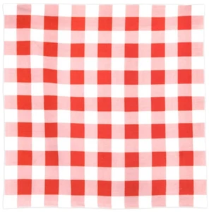 Sunshine Joy Gingham Bandana rot 22"x22" KOSTENLOSER VERSAND - Bild 1 von 2