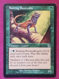 Magic The Gathering TORMENT BASKING ROOTWALLA green card MTG - Bild 1 von 2