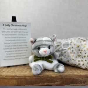 Aurora Palm Pal Tabby Cat Grey - Secret Santa Geschenkbox - Weihnachtsgeschenk verpackt - Bild 1 von 8