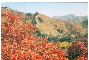 China Great Wall in the background old continental size chrome postcard - Picture 1 of 3
