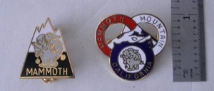 (2) Vintage MAMMOTH MOUNTAIN CALIFORNIA SKI Enamel Pinback Lapel Pins - Picture 1 of 4