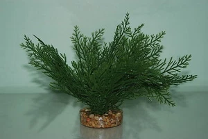 Aquarium Plants Green Plant 15 cms Fern Style With Gravel Weighted Base - Picture 1 of 2
