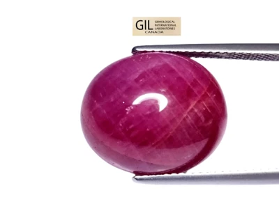 19.64cts Beautiful  red natural certified unheated ruby oval cabochon  - Image 1 of 4