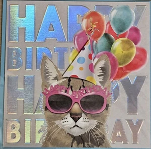 Papyrus Cat Birthday Card (One Cool Cat) - Picture 1 of 3