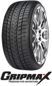 Gripmax PRO Winter XL 295/30 R22 103V - Bild 1 von 1