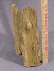 Petrified Agatized Wood Outer Bark Specimen From Wyoming, U.S.A. -- 2 Lb.