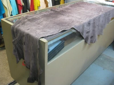 Buffed Buffalo Leather  # 0012688 ROW 74 - Image 1 of 4