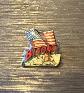 Vintage Buffalo Bisons Pin Back Button. American Flag Retro RARE - Picture 1 of 4