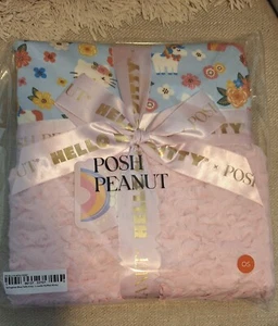 Sold out Springtime Blue Hello Kitty -luxette ruffled minky - Picture 1 of 1