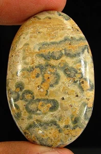 49,50 ct natürlicher Leopardenfell-Jaspis loser Edelstein Cabochon Draht Wickelstein - 28930 - Bild 1 von 2