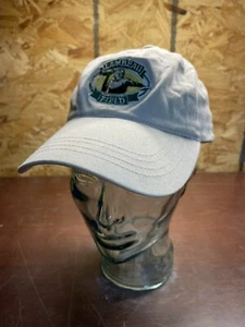 Lambeau Field Green Bay Packers NFL Khaki Mens Hat Strap Back Baseball Dad Cap - Picture 1 of 11