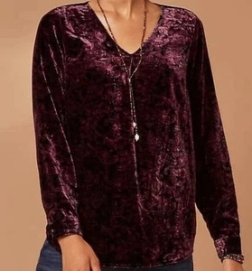 J.Jill luxuriöses Samt Paisley bedrucktes Top neu mit Etikett $ 129 Fee skurril XL - Bild 1 von 9