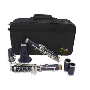 Clarinet Bb Clarinet 17 Keys 6 Rings BLue Blackwinds Professional - Picture 1 of 15