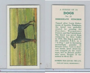 B0-0 Barbers Tea, Dogs, 1961, #21 Dobermann Pinscher