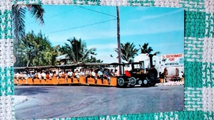 CARTOLINA D'EPOCA CONCHIGLIA TOUR TRENO CHIAVE WEST FLORIDA. - Foto 1 di 11