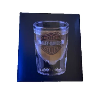Harley Davidson Shot Glass New In Box - Picture 1 of 4