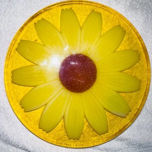 Plato caliente vintage años 60 Wondermold Industries Lucite flor trivet MCM retro EE. UU. - Imagen 1 de 6