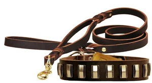 Dean and Tyler Bundle - One "Brass Line" Collar 32-Inch by 1-1/2-Inch With On... - Foto 1 di 1