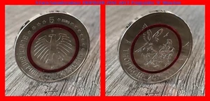 💥 5-Euro-Sammlermünze TROPISCHE ZONE ☘️ 2017 ☘️ BAYERISCHES HAUPTMÜNZAMT "D" 💥 - Bild 1 von 7