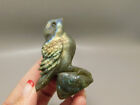 Bird Figurine Labradorite Hand Carved 2.5 inch Gemstone #O1
