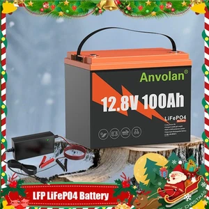 Akku 100Ah 12V Lithium Batterie LiFePO4 mit Ladegerät for Photovoltaik Wohnmobil - Bild 1 von 22