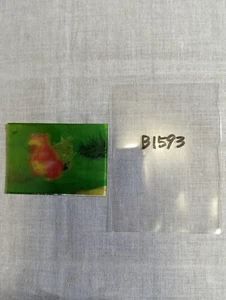 Slowbro Japanese Lenticular 3D Card Meiji Milk Cocoa Pokemon B1593 - Picture 1 of 17