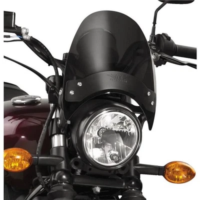 National Cycle - N2531-002 - Flyscreen with Black Hardware, Dark Tint - Image 1 of 4