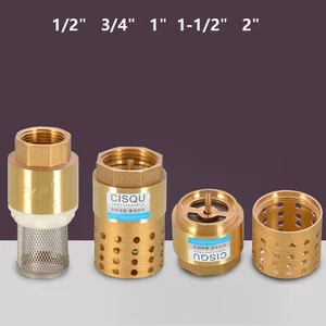 Brass Spring Check Foot Valve Strainer Water Pump One-way Valve 1/2" 3/4" 1" 2" - Picture 1 of 13