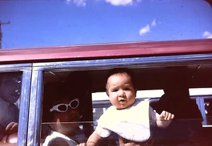 September 1964 35mm Slide Transparency Baby in Car Station Wagon Cat Eye Sunglas - Picture 1 of 1