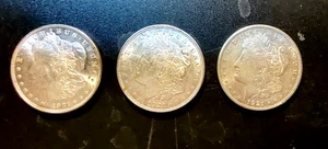 1921 P, D, and S Morgan Silver Dollars in a Nice AU-Uncirculated Condition - Picture 1 of 6