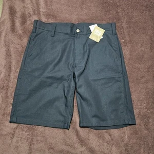 NWT Carhartt Men’s Size 34 Shorts Relaxed Fit Cargo Pockets Blue - Picture 1 of 9