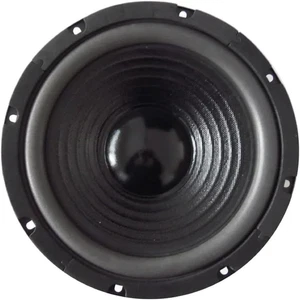 KIT SET per WEB J-108 1 Woofer Altoparlante Diffusore Medio Basso 25 Cm 250 Mm 1 - Foto 1 di 12
