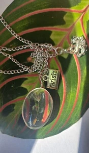 Dandelion Seed Resin Happiness Chain, Wish, Wishes. - Picture 1 of 5