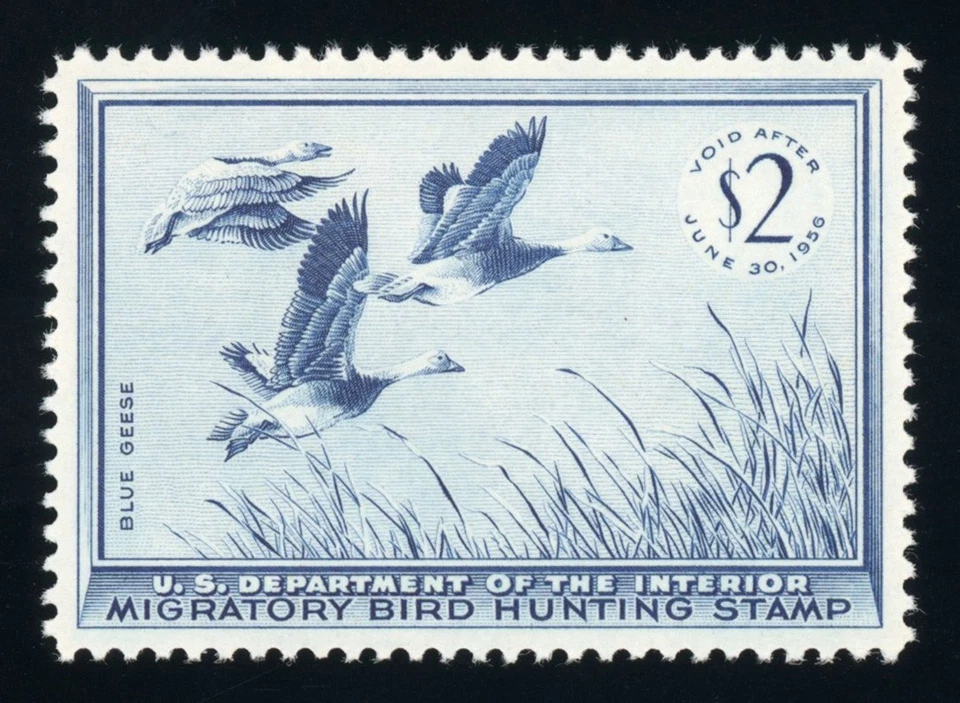 #RW22, $2.00 gansos azules, excelente-OG-NH, 2007 PSE (calificado 98, nh) - ¡perfecto! Foto 1 de 1