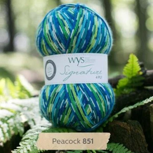 WYS Signature 4 ply Birds Knitting Wool Yarn 100g - 851 Peacock - Picture 1 of 2