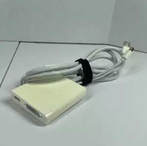 Apple A1306 Mini Display Port to Dual-link DVI Adapter - White - Picture 1 of 5
