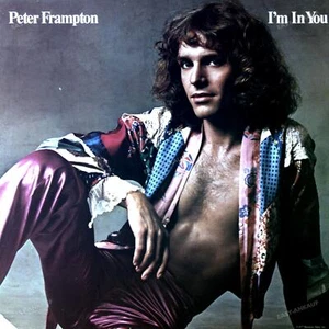 Peter Frampton - I’m In You LP (VG/VG) . - Picture 1 of 1