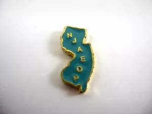 Vintage Collectible Pin Metal Piece: NJAEOP New Jersey Edu. Office Professionals - Picture 1 of 4