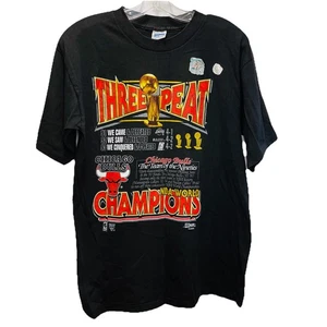 Chicago Bulls Sz L T Shirt 1993 Three Peat NBA Finals Basketball World Champions - Picture 1 of 5