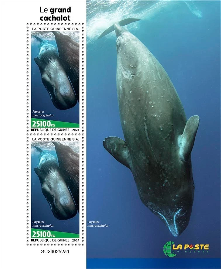 Марки Гвинея 2024 как новые без наклеек и следов кашалоты - Изображение 1 из 1