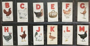 OGDEN'S - POULTRY ALPHABET 1924- FULL SET 25 - G/CON.