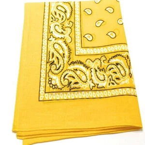 Lot 3/6/12 Pack Paisley Print Bandana 100% Cotton Head Warp Scarf - Picture 1 of 17