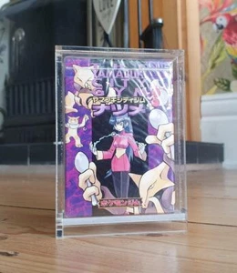 Pokemon Japanese Fitnessstudio Heroes Challenge Themendeck Schutz Vitrine - Bild 1 von 11